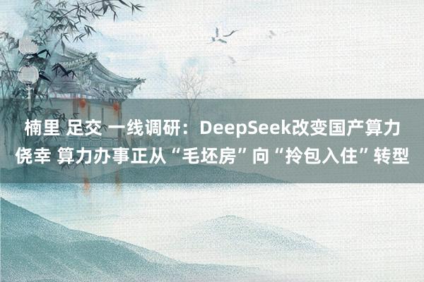 楠里 足交 一线调研：DeepSeek改变国产算力侥幸 算力办事正从“毛坯房”向“拎包入住”转型