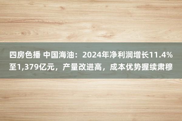 四房色播 中国海油：2024年净利润增长11.4%至1，379亿元，产量改进高，成本优势握续肃穆