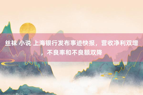 丝袜 小说 上海银行发布事迹快报，营收净利双增，不良率和不良额双降