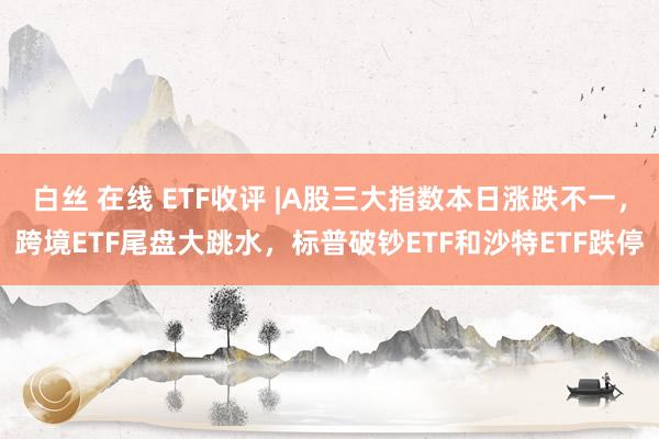 白丝 在线 ETF收评 |A股三大指数本日涨跌不一，跨境ETF尾盘大跳水，标普破钞ETF和沙特ETF跌停
