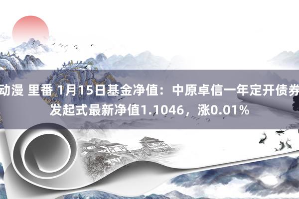 动漫 里番 1月15日基金净值：中原卓信一年定开债券发起式最新净值1.1046，涨0.01%