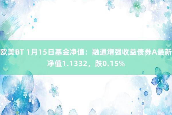 欧美BT 1月15日基金净值：融通增强收益债券A最新净值1.1332，跌0.15%