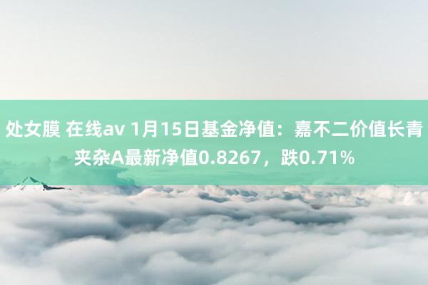 处女膜 在线av 1月15日基金净值：嘉不二价值长青夹杂A最新净值0.8267，跌0.71%