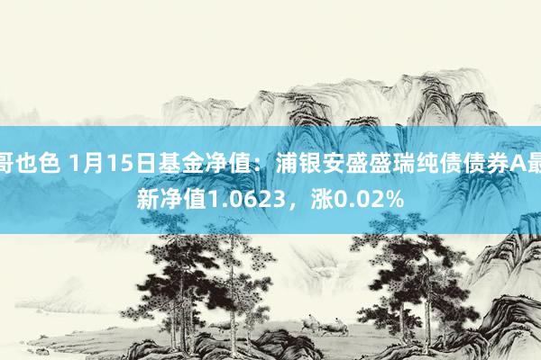哥也色 1月15日基金净值：浦银安盛盛瑞纯债债券A最新净值1.0623，涨0.02%