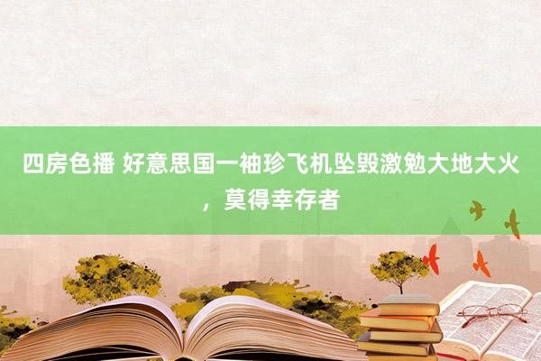 四房色播 好意思国一袖珍飞机坠毁激勉大地大火，莫得幸存者