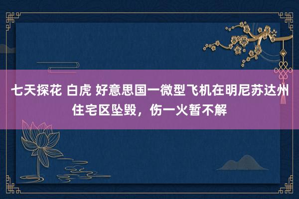 七天探花 白虎 好意思国一微型飞机在明尼苏达州住宅区坠毁，伤一火暂不解