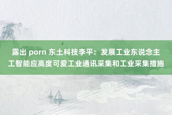 露出 porn 东土科技李平：发展工业东说念主工智能应高度可爱工业通讯采集和工业采集措施