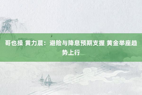 哥也操 黄力晨：避险与降息预期支握 黄金举座趋势上行