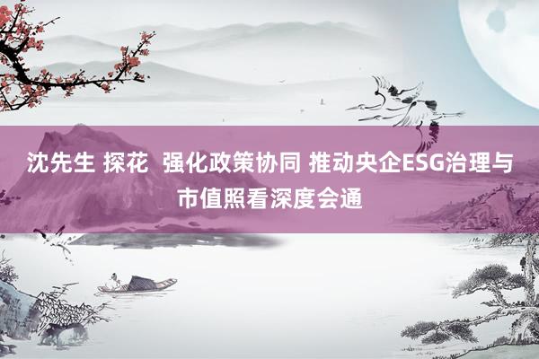 沈先生 探花  强化政策协同 推动央企ESG治理与市值照看深度会通