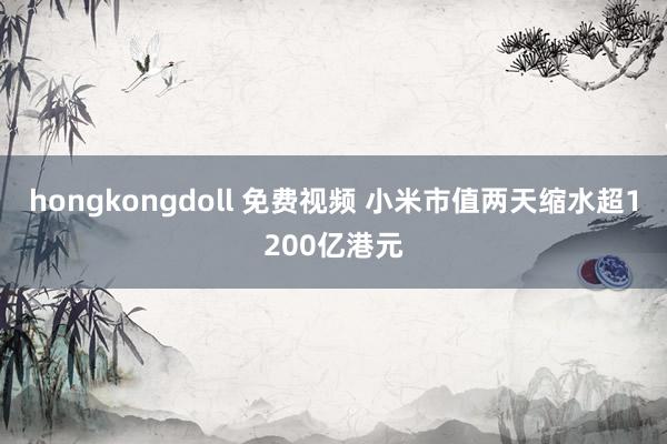 hongkongdoll 免费视频 小米市值两天缩水超1200亿港元