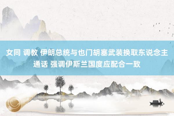 女同 调教 伊朗总统与也门胡塞武装换取东说念主通话 强调伊斯兰国度应配合一致