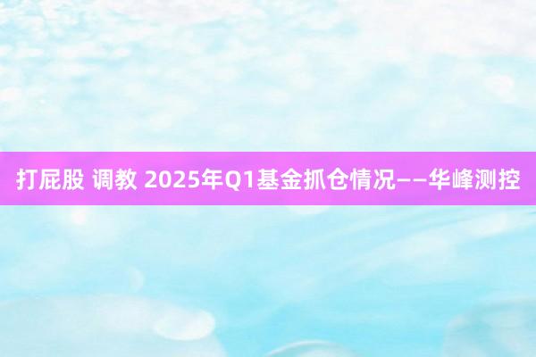 打屁股 调教 2025年Q1基金抓仓情况——华峰测控