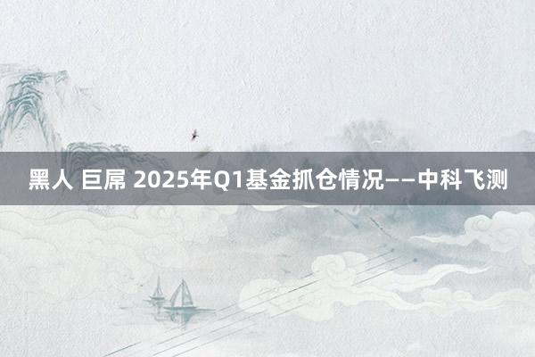 黑人 巨屌 2025年Q1基金抓仓情况——中科飞测