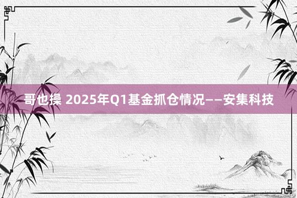哥也操 2025年Q1基金抓仓情况——安集科技