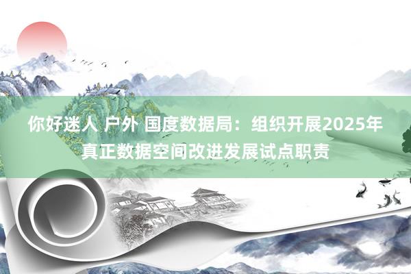 你好迷人 户外 国度数据局：组织开展2025年真正数据空间改进发展试点职责