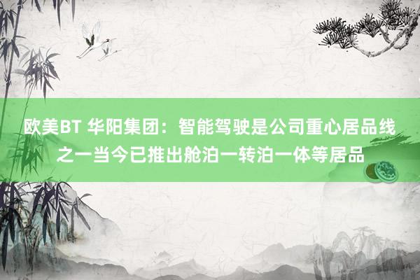 欧美BT 华阳集团：智能驾驶是公司重心居品线之一当今已推出舱泊一转泊一体等居品