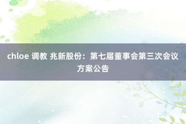 chloe 调教 兆新股份：第七届董事会第三次会议方案公告