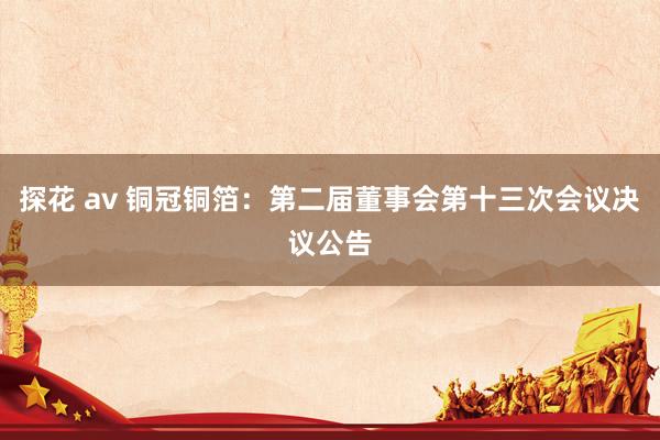 探花 av 铜冠铜箔：第二届董事会第十三次会议决议公告
