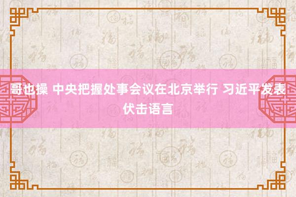 哥也操 中央把握处事会议在北京举行 习近平发表伏击语言