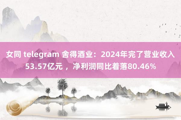 女同 telegram 舍得酒业：2024年完了营业收入53.57亿元 ，净利润同比着落80.46%