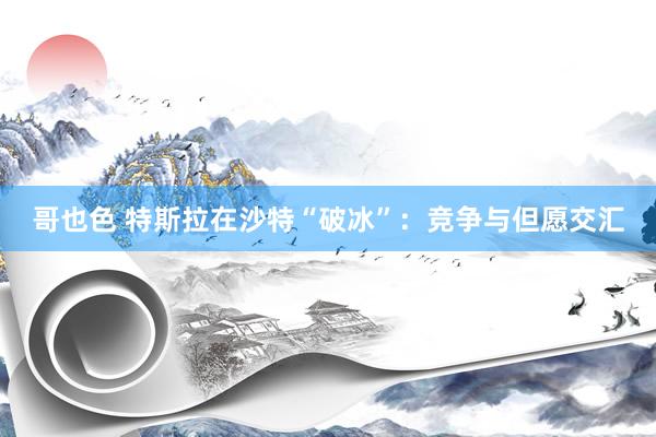 哥也色 特斯拉在沙特“破冰”：竞争与但愿交汇