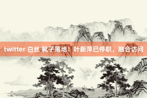 twitter 白丝 靴子落地！叶新萍已停职，融合访问