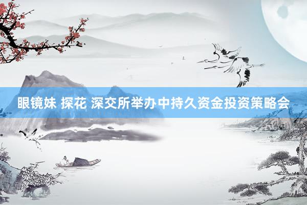 眼镜妹 探花 深交所举办中持久资金投资策略会