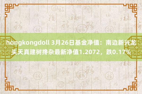 hongkongdoll 3月26日基金净值：南边新兴龙头天真建树搀杂最新净值1.2072，跌0.17%