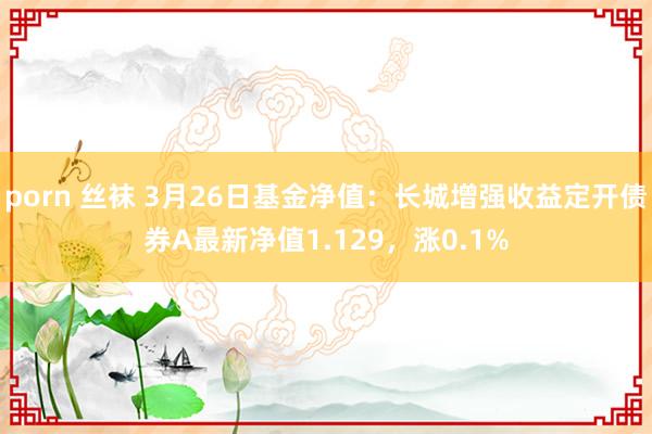 porn 丝袜 3月26日基金净值：长城增强收益定开债券A最新净值1.129，涨0.1%