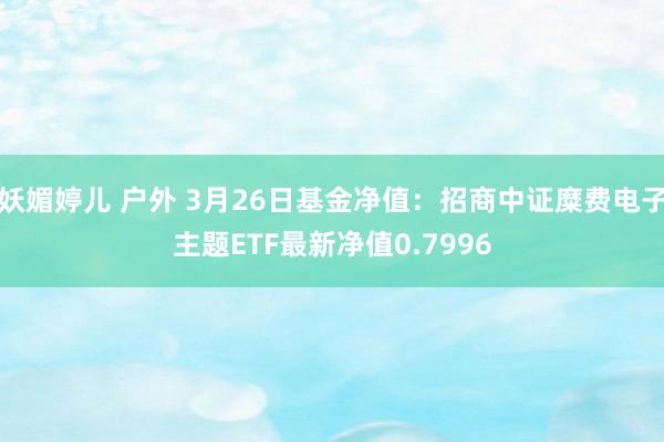 妖媚婷儿 户外 3月26日基金净值：招商中证糜费电子主题ETF最新净值0.7996