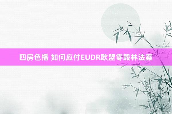 四房色播 如何应付EUDR欧盟零毁林法案