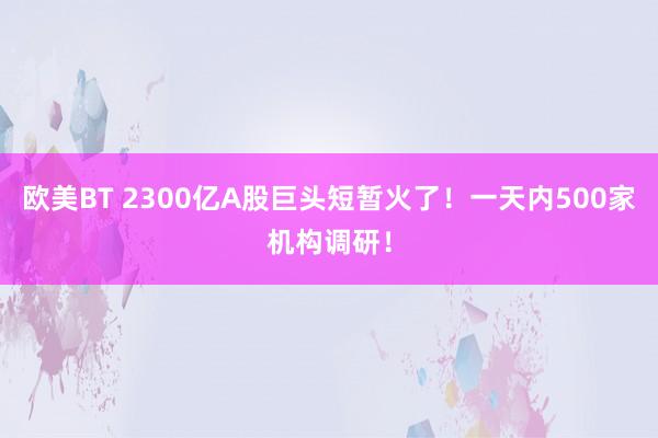 欧美BT 2300亿A股巨头短暂火了！一天内500家机构调研！