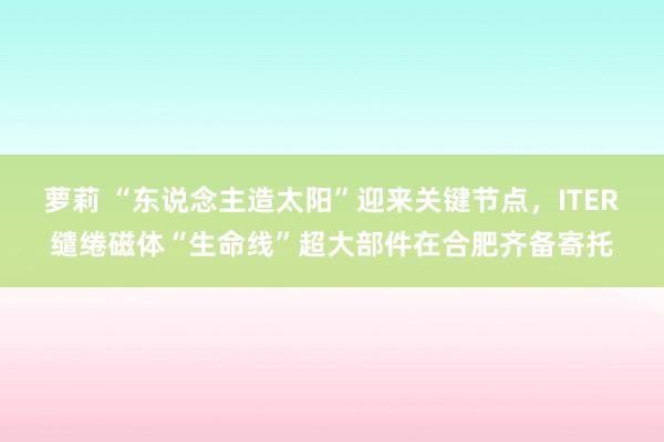 萝莉 “东说念主造太阳”迎来关键节点，ITER缱绻磁体“生命线”超大部件在合肥齐备寄托