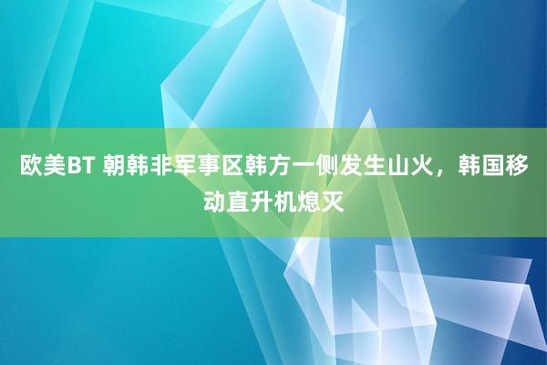 欧美BT 朝韩非军事区韩方一侧发生山火，韩国移动直升机熄灭