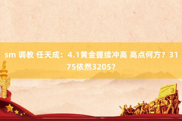 sm 调教 任天成：4.1黄金握续冲高 高点何方？3175依然3205？