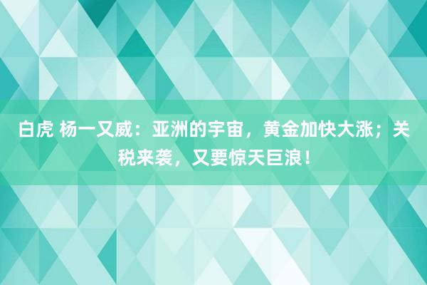 白虎 杨一又威：亚洲的宇宙，黄金加快大涨；关税来袭，又要惊天巨浪！