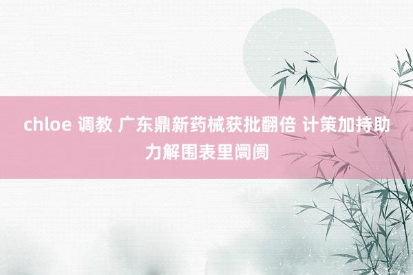 chloe 调教 广东鼎新药械获批翻倍 计策加持助力解围表里阛阓