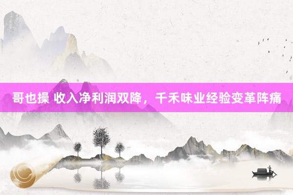 哥也操 收入净利润双降，千禾味业经验变革阵痛
