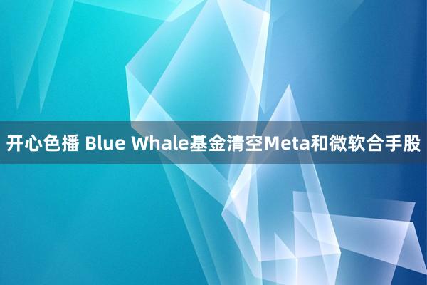 开心色播 Blue Whale基金清空Meta和微软合手股