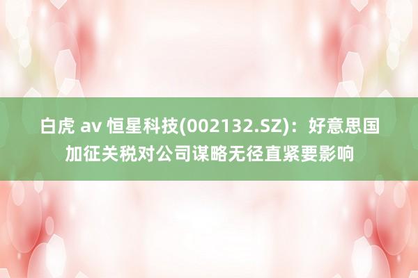 白虎 av 恒星科技(002132.SZ)：好意思国加征关税对公司谋略无径直紧要影响