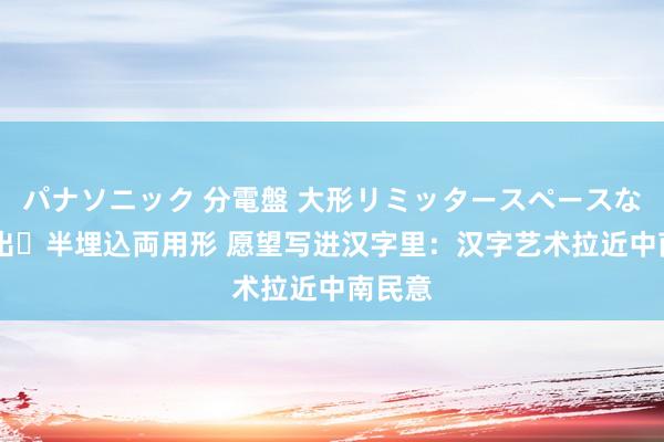 パナソニック 分電盤 大形リミッタースペースなし 露出・半埋込両用形 愿望写进汉字里：汉字艺术拉近中南民意