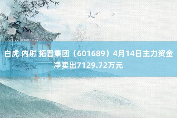 白虎 内射 拓普集团（601689）4月14日主力资金净卖出7129.72万元