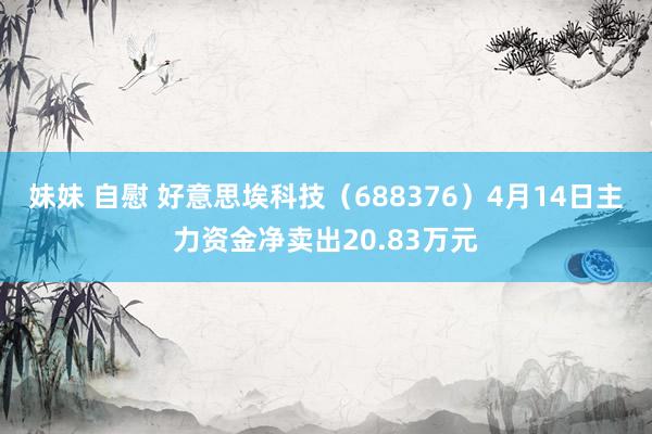 妹妹 自慰 好意思埃科技（688376）4月14日主力资金净卖出20.83万元