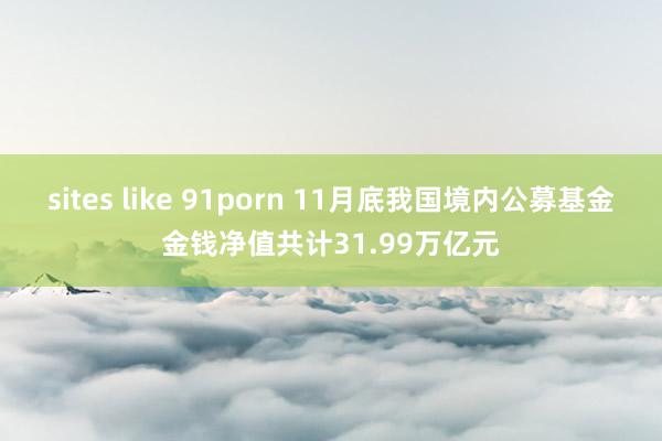 sites like 91porn 11月底我国境内公募基金金钱净值共计31.99万亿元