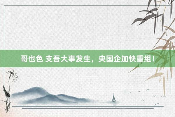 哥也色 支吾大事发生，央国企加快重组！
